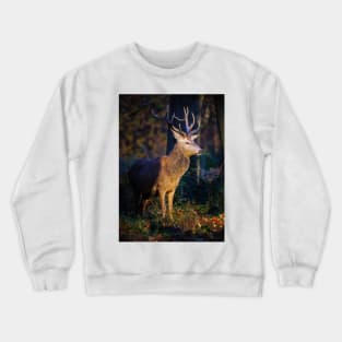 Red Deer Stag Crewneck Sweatshirt